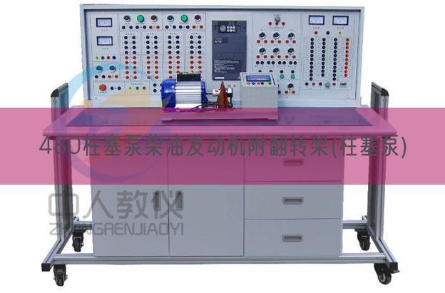 480柱塞泵柴油發(fā)動機附翻轉(zhuǎn)架(柱塞泵)(圖1)