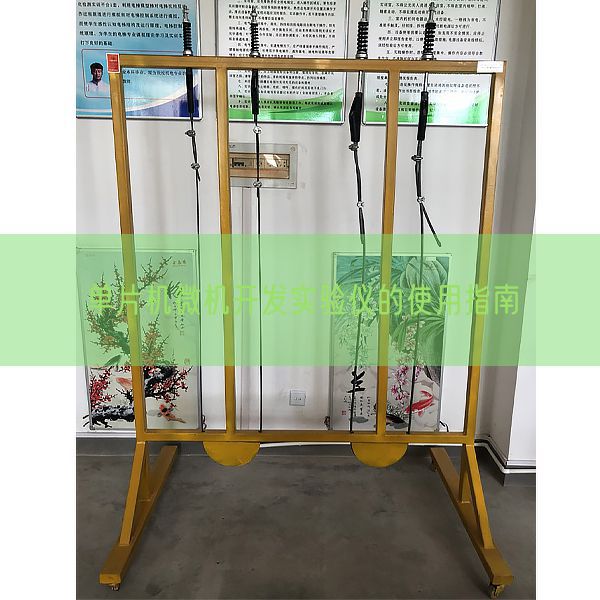 單片機(jī)微機(jī)開(kāi)發(fā)實(shí)驗(yàn)儀的使用指南(圖1)