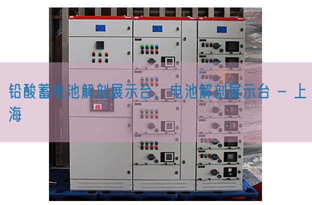 鉛酸蓄電池解剖展示臺(tái)，電池解剖展示臺(tái) - 上海(圖1)