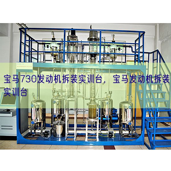 寶馬730發(fā)動機(jī)拆裝實訓(xùn)臺，寶馬發(fā)動機(jī)拆裝實訓(xùn)臺(圖1)