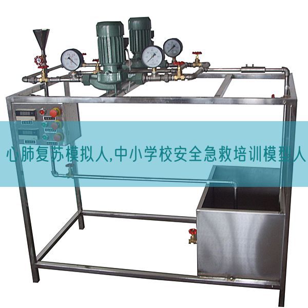 心肺復(fù)蘇模擬人,中小學校安全急救培訓模型人(圖1)